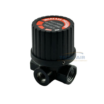 1/4" FNPT In-Line Air Pressure Regulator With 1/8" FNPT Replaces RE206202AV